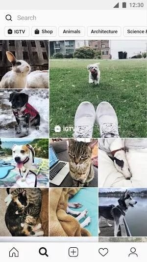 instagram mod apk download