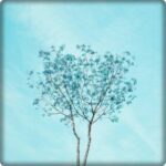 Blue Aesthetic Wallpaper HD Mod APK 5.0