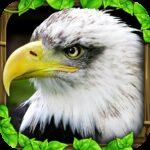 Eagle Game APK 3.0 (Energi Tidak Terbatas)