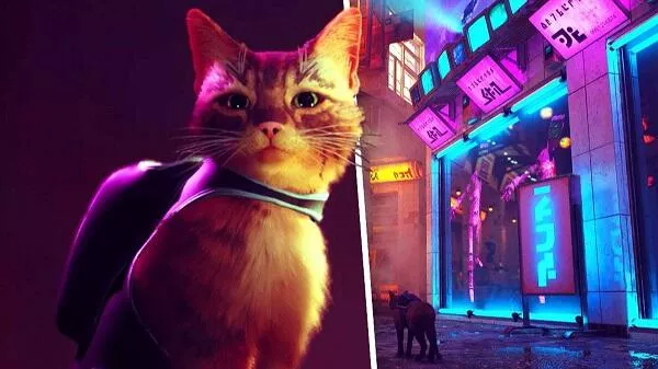 stray cat game guide apk latest version