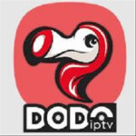 Dodo Iptv APK Mod 5.0.1 (No ads)